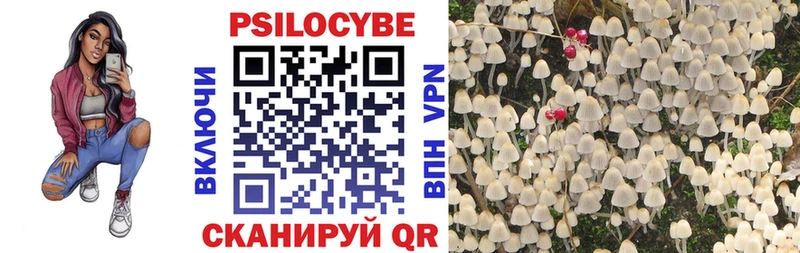 Галлюциногенные грибы Psilocybe  как найти   Верхний Уфалей 