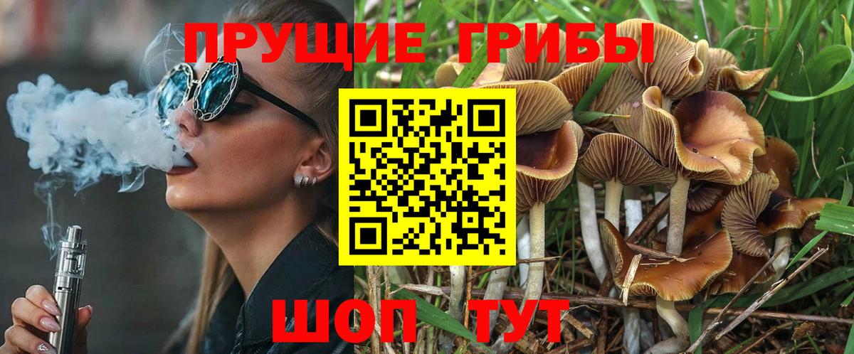 Верхний Уфалей  Галлюциногенные грибы GOLDEN TEACHER  Псилоцибиновые грибы мухоморы  Вход с VPN 